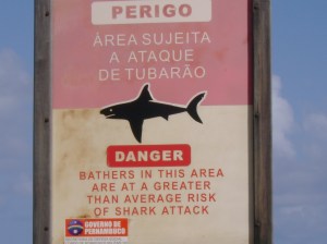 Placas como esta estão em toda a orla - são mais de 80 - SE