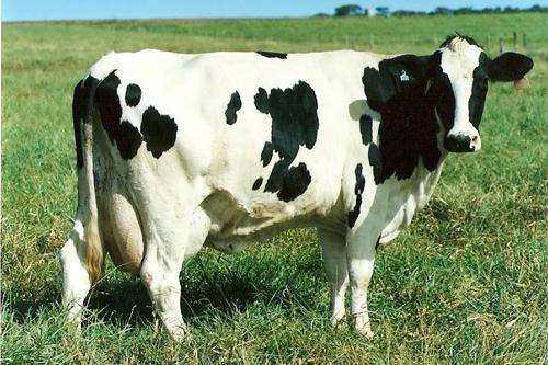 C161B8A84431E6E910F81B76A73788022832EF2DB11D566A32E621E66AAC82F2