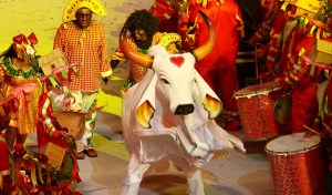 O Boi Garantido faturou mais um campeonato no Festival de Parintins, ano passado