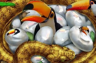 1303594775947-ninho-tucano-Blog doMiro