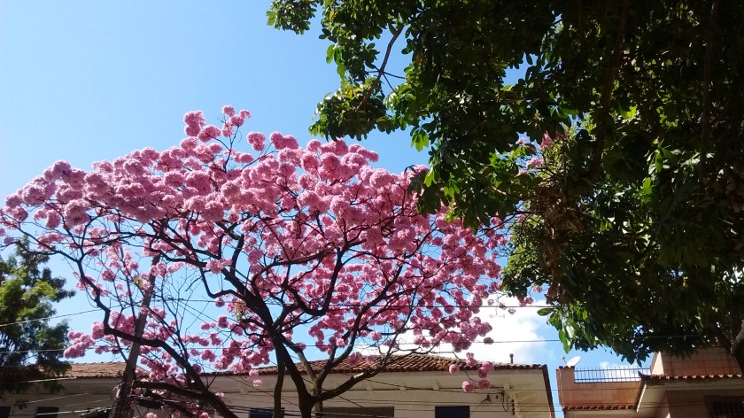 IMG_20150722_111524119