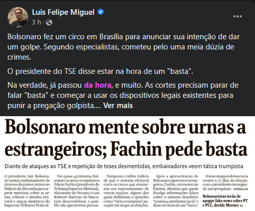 Patacoada eleitoral - Luis Felipe Miguel